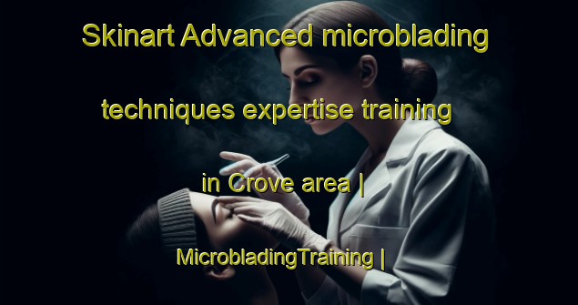 Skinart Advanced microblading techniques expertise training in Crove area | MicrobladingTraining | MicrobladingClasses | SkinartTraining-Ireland